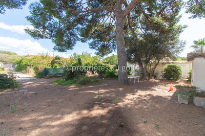 Terrain - 737 m²