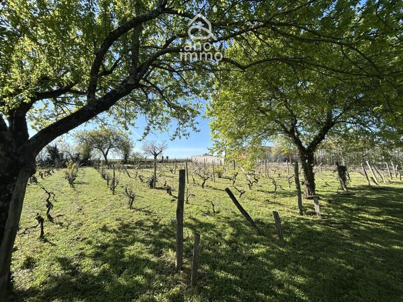 Propriété - 200 m² - 10 pièces