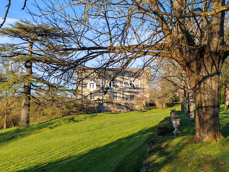 Château - 514 m² - 11 pièces