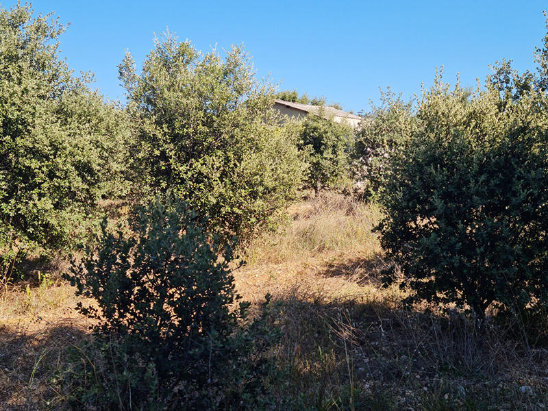 Terrain - 39 000 m²