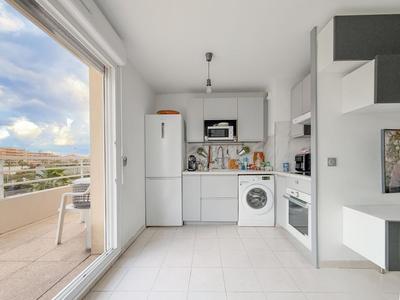 Penthouse - 38 m² - 2 pièces