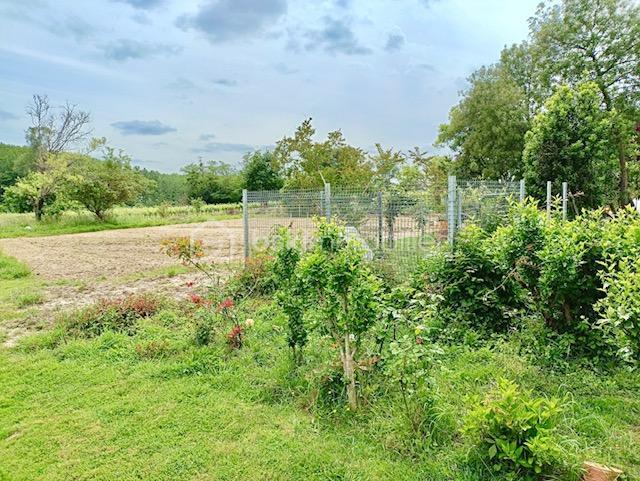 Maison en pierre - 194 m² - 8 pièces