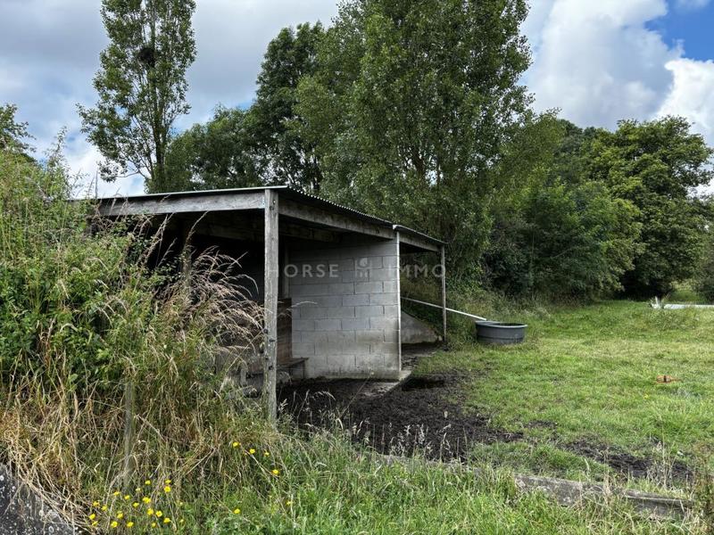 Maison de domaine équestre - 443 m² - 9 pièces