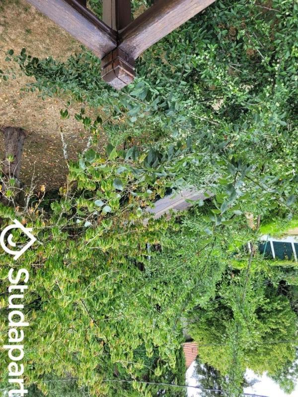 Chambre - 15 m² - 1 pièce