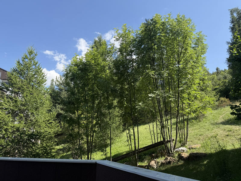 Appartement - 32 m² - 1 pièce