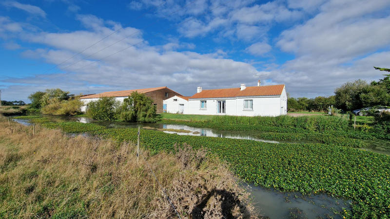 Maison - 100 m² - 5 pièces