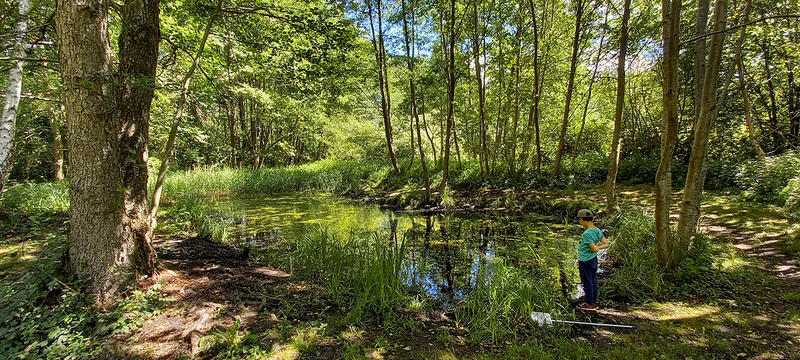 Sortie nature à Vauclair : "Les dents de la mare"