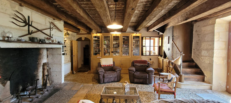 Viager - Maison - 515 m² - 17 pièces