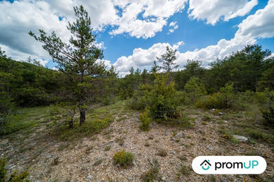 Terrain de loisirs - 92 370 m²