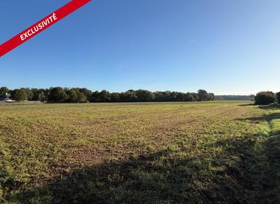 Terrain constructible - 720 m²