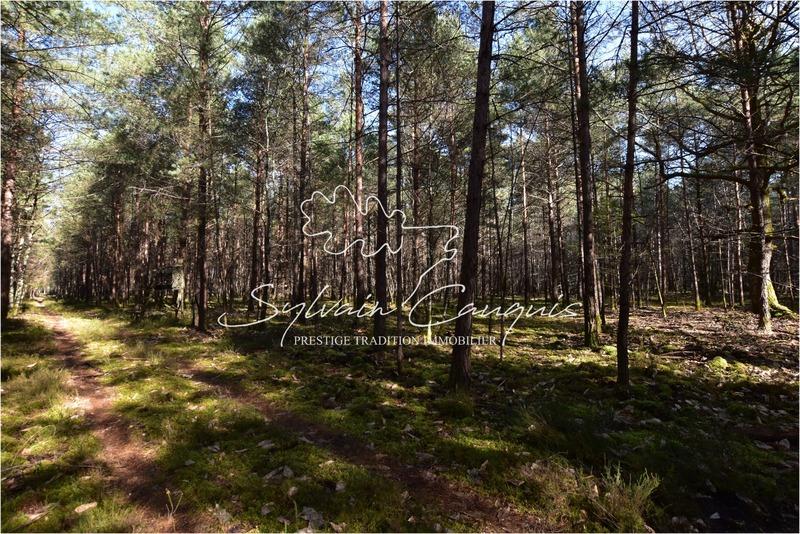 Propriété - 280 m² - 12 pièces