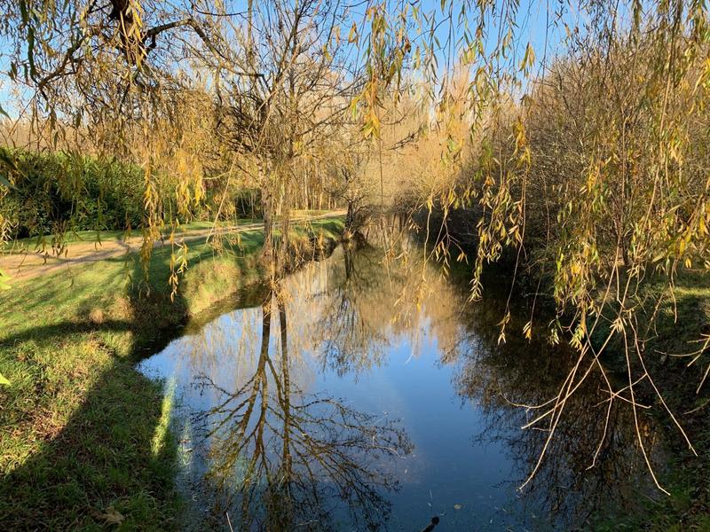 Maison traditionnelle - 202 m² - 7 pièces