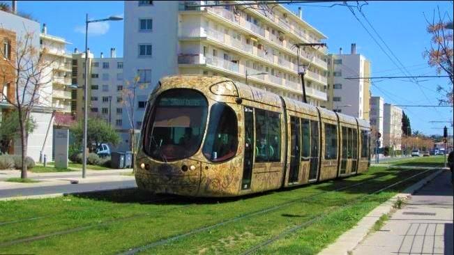 Appartement - 11 m² - 1 pièce