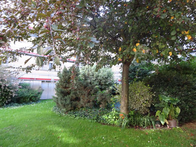 Appartement - 32 m² - 1 pièce