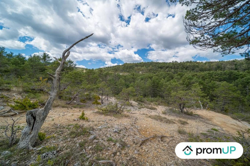 Terrain de loisirs - 92 370 m²