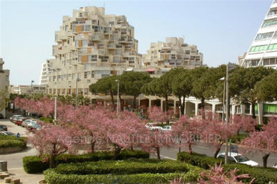 Appartement - 21 m² - 1 pièce