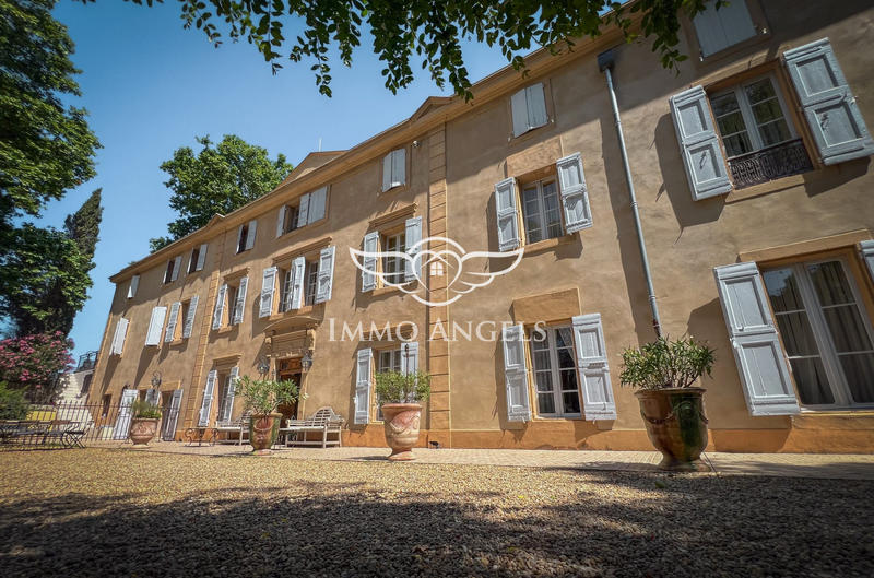 Château - 1 400 m² - 38 pièces