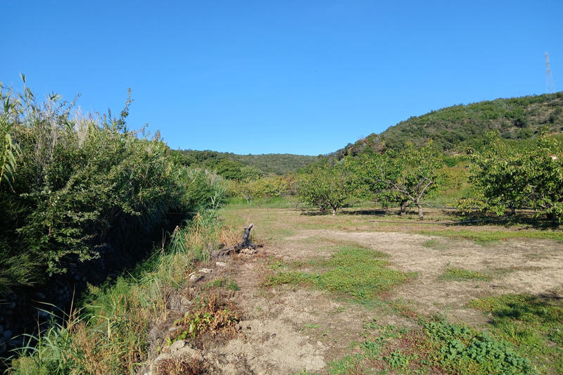 Terrain agricole - 7 121 m²