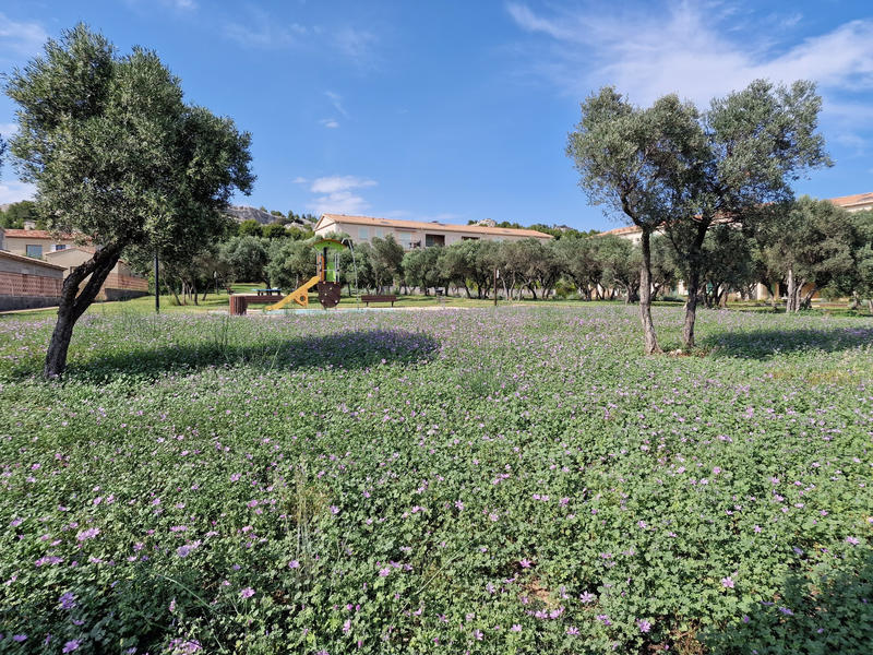 Appartement - 31 m² - 2 pièces