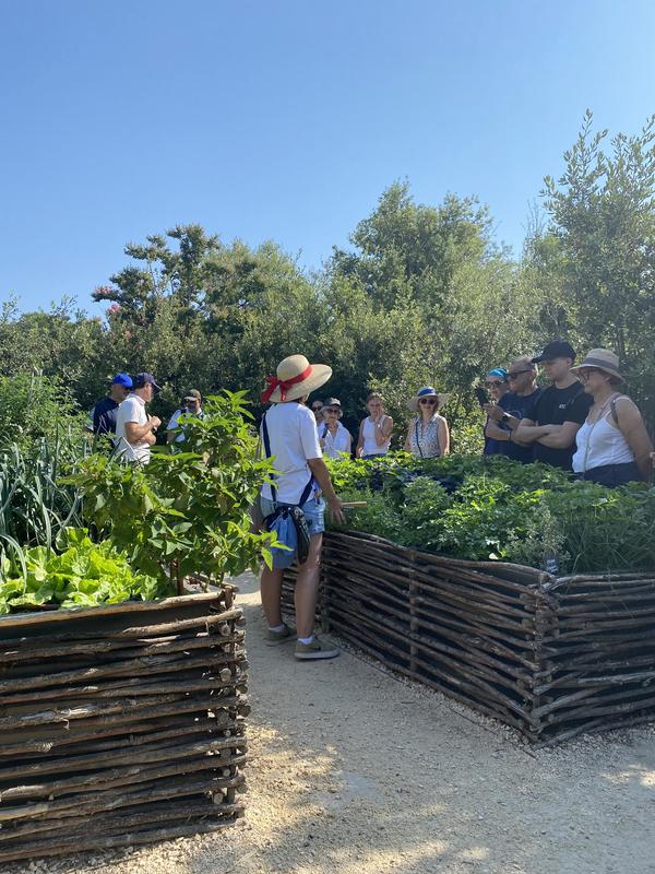 Visites Guidées du Jardin et du château des Baux de Provence