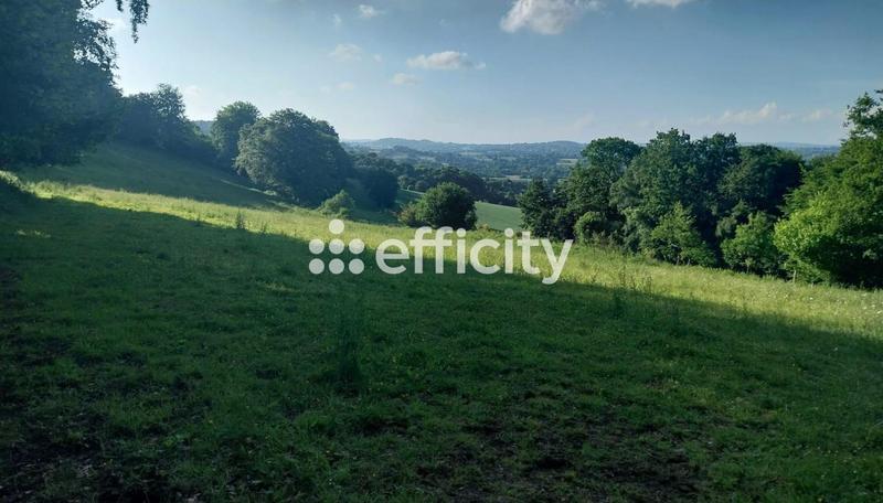 Maison de domaine équestre - 123 m² - 5 pièces