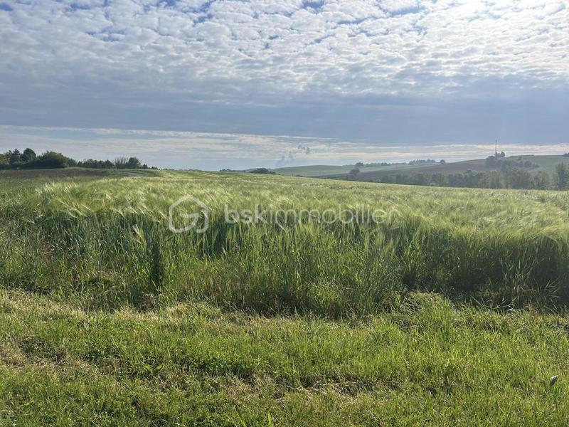 Propriété - 885 m² - 22 pièces