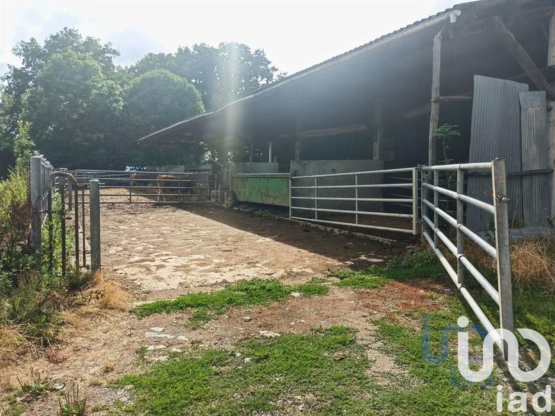 Maison de campagne - 87 m² - 4 pièces