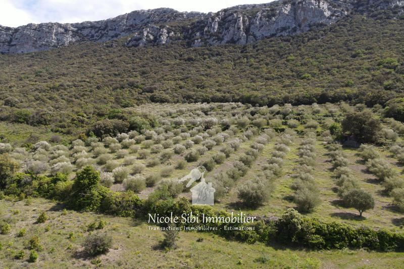 Terrain agricole - 45 557 m²