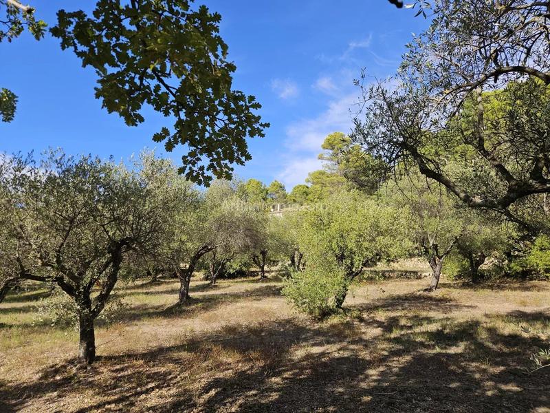 Maison - 261 m² - 7 pièces