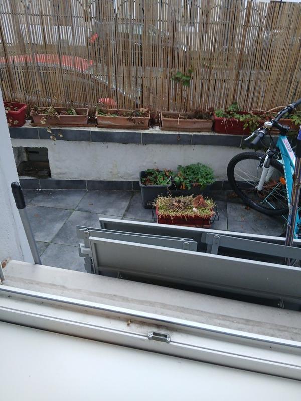 Maison ancienne - 120 m² - 5 pièces