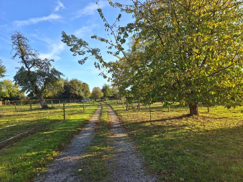 Maison - 98 m² - 3 pièces