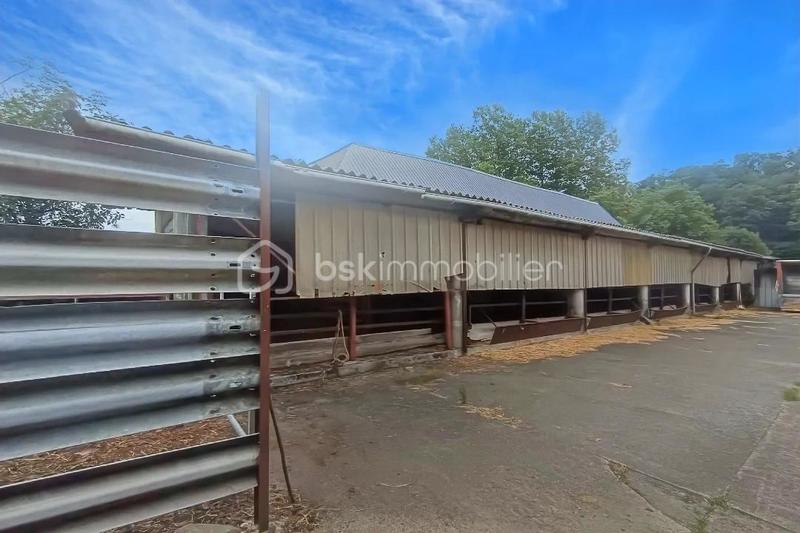 Terrain - 45 181 m²