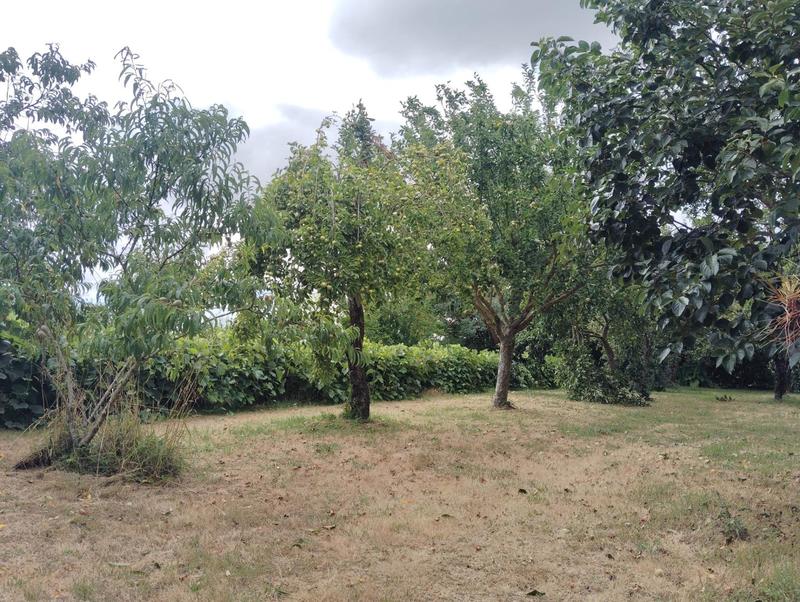 Maison de village - 278 m² - 11 pièces