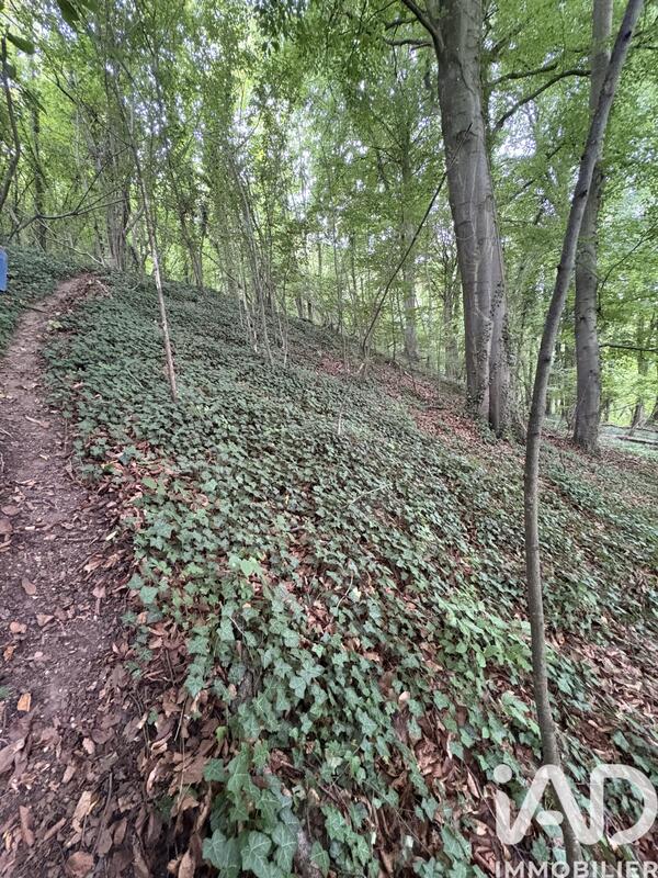 Terrain - 10 604 m²