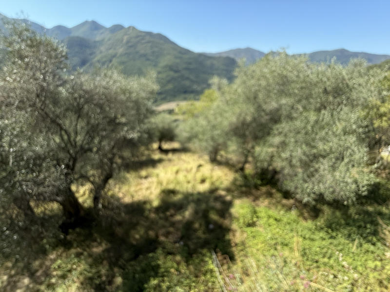 Maison - 265 m² - 6 pièces