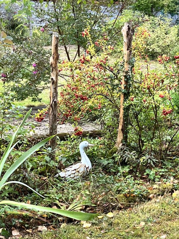 Maison ancienne - 154 m² - 6 pièces