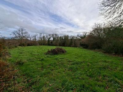 Terrain agricole - 2 695 m²