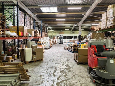 Local d'activités - 1 126 m²