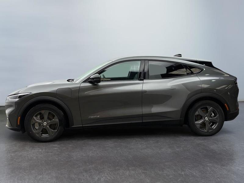 Ford Mustang Mach-E Standard Range 76 kWh 269 ch