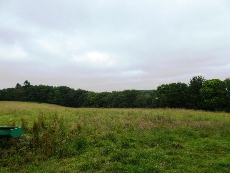 Terrain agricole - 28 430 m²