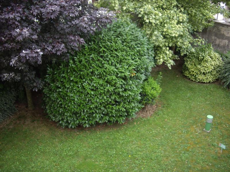 Appartement - 27 m² - 1 pièce