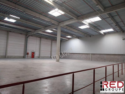 Entrepôt - 1 265 m²