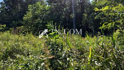 Terrain agricole - 4 687 m²