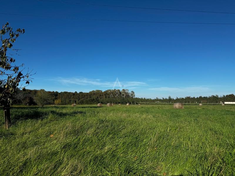 Propriété viticole - 129 m² - 5 pièces