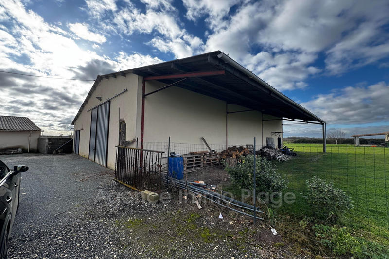 Local commercial - 270 m²