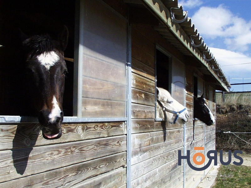 Viager - Maison - 400 m² - 14 pièces