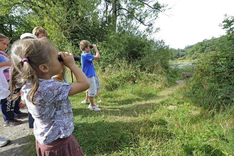 Détectives naturalistes en herbe