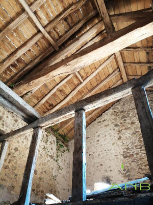 Maison ancienne - 60 m² - 1 pièce