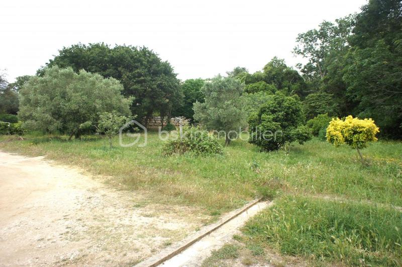 Demeure - 410 m² - 14 pièces