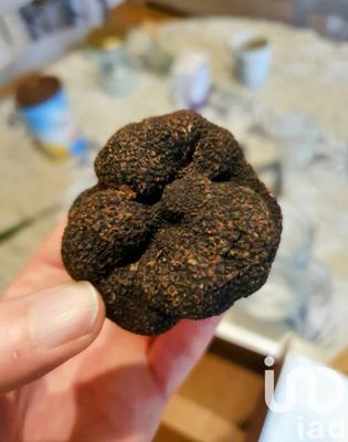 Terrain - 15 645 m²